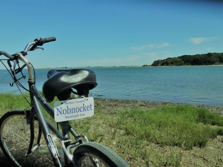 Nobnocket Bicycle From The Rear