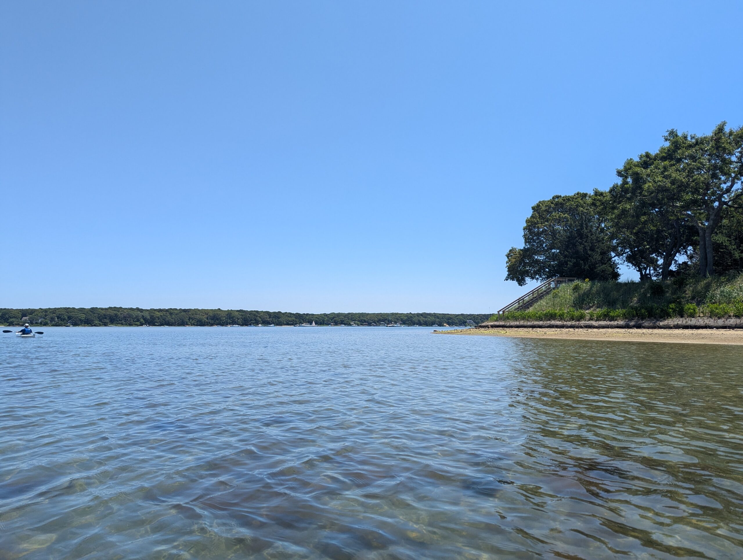 Bank of Lake Tashmoo