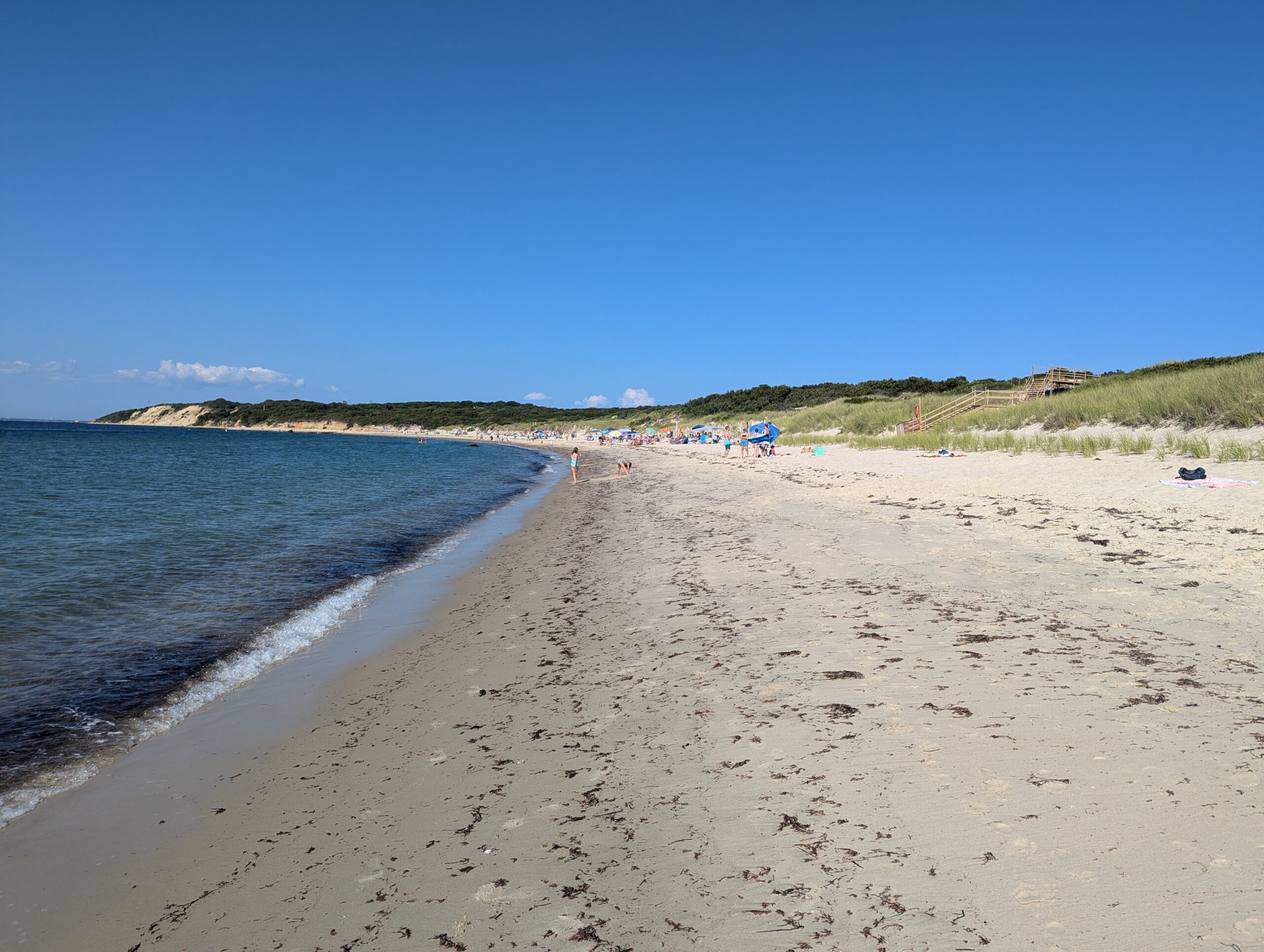 View down Lambert's Cove Beach at James Pond Preserve