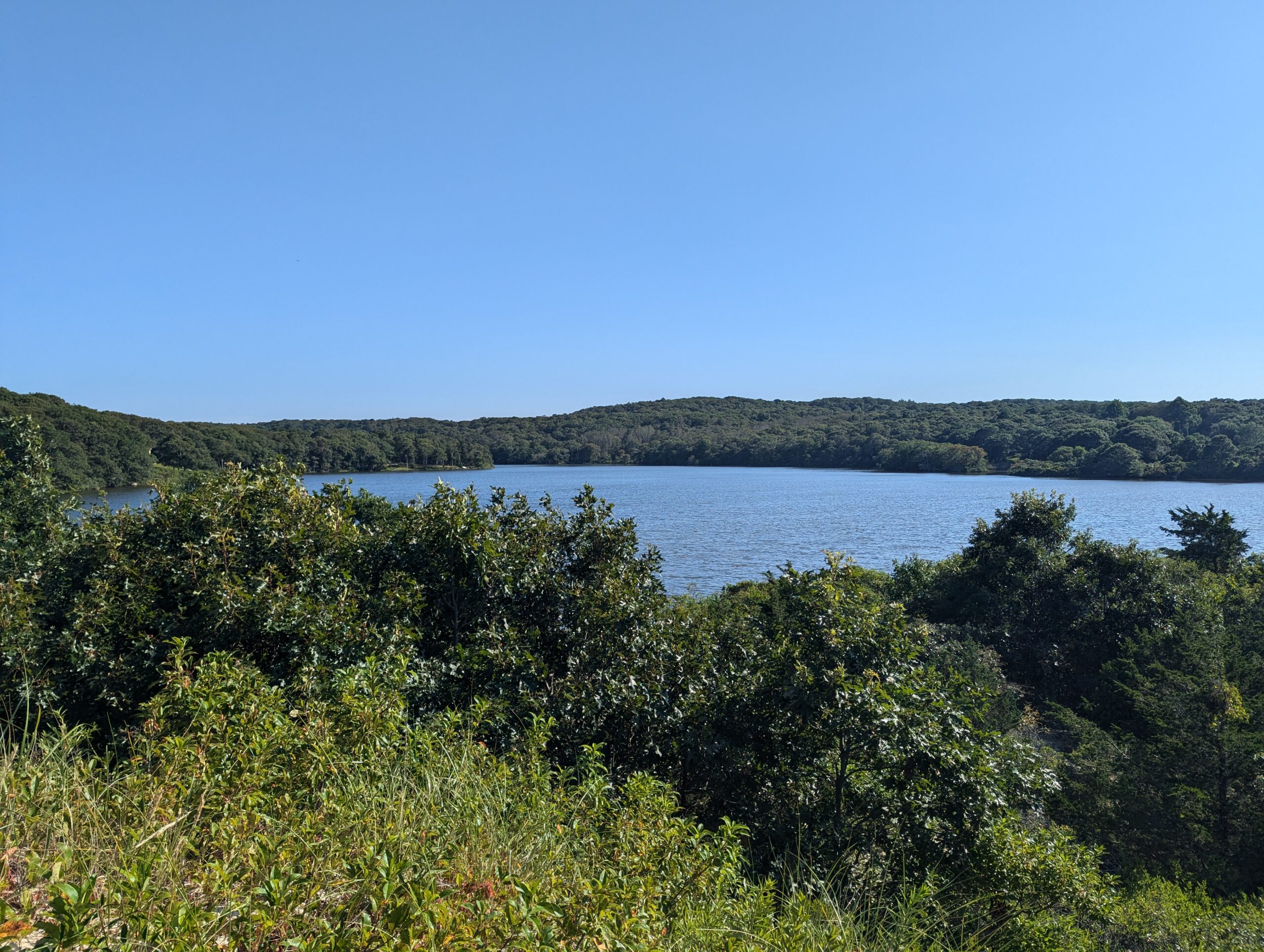 View across James Pond