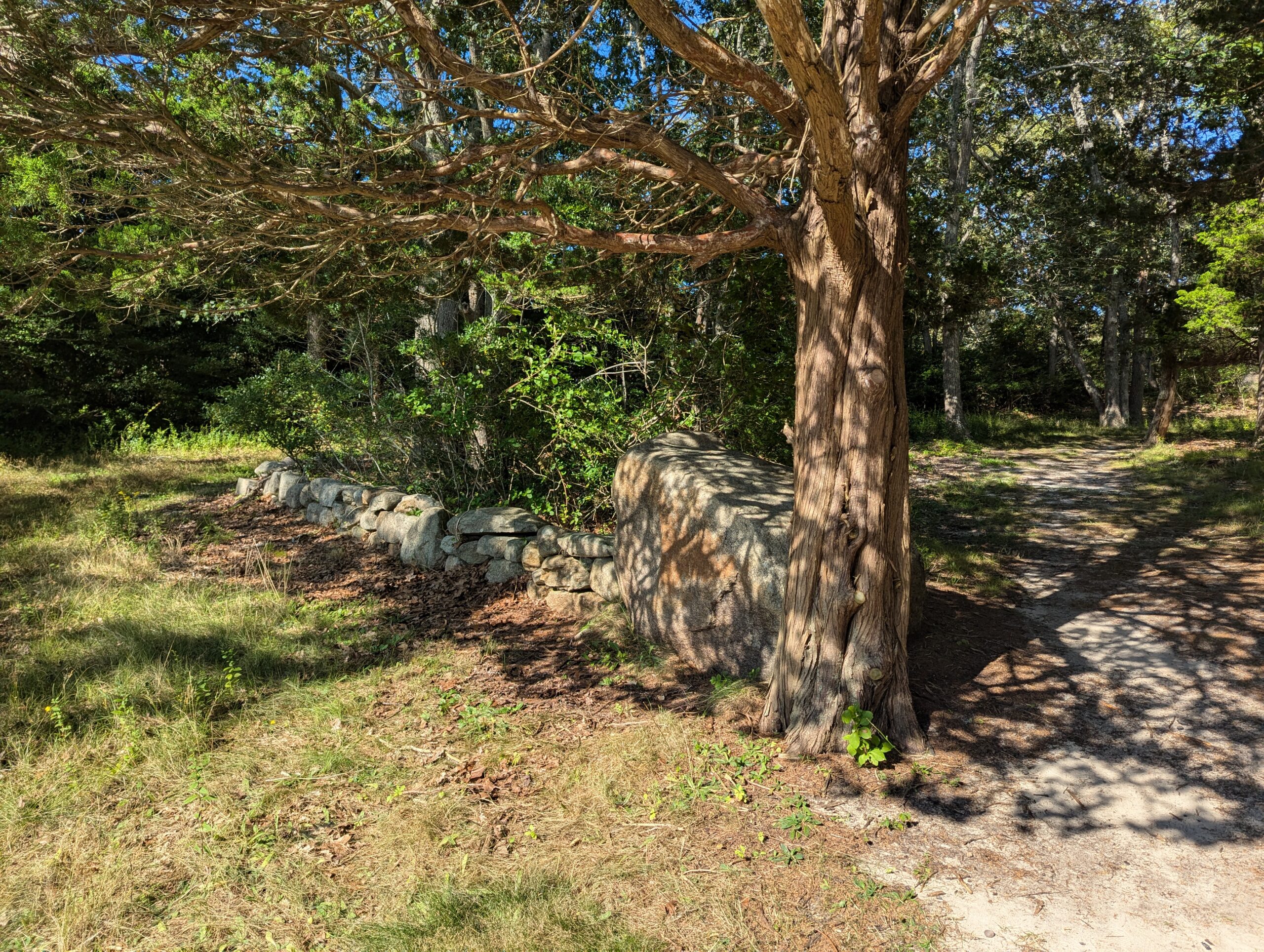 Stone Wall at James Pond