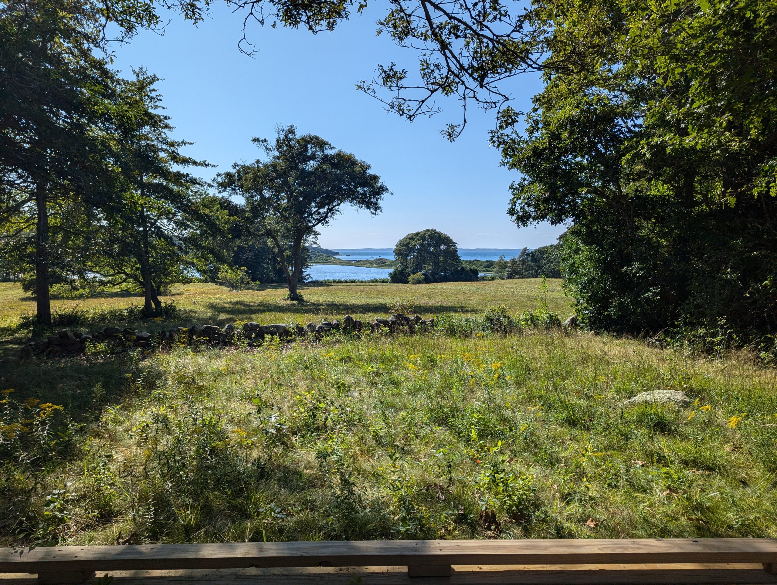 View across field out towards James Pond